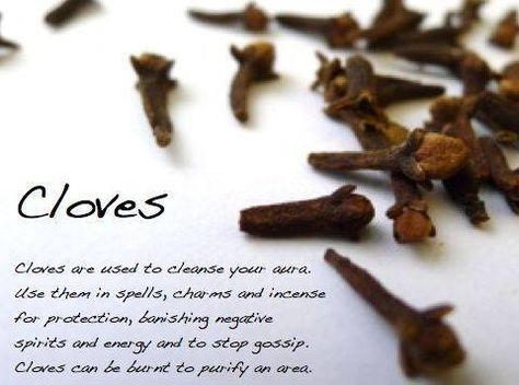 Magical Use Of - Cloves Magickal Herbs, Witch Herbs, Magia Das Ervas, Kitchen Witchery, Magic Herbs, Magical Herbs, Clove Oil, Herbal Magic, Spells Witchcraft