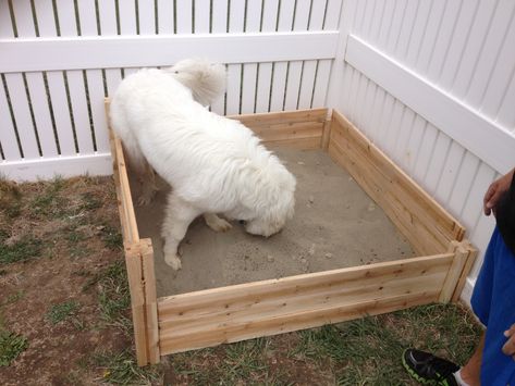 How to prevent your dog from digging by building a digging box. Dog Friendly Backyard, Diy Sandbox, Dog Playground, Puppy Cut, Dog Box, Dog Area, Dream Yard, Dog Exercise, Dog Hacks