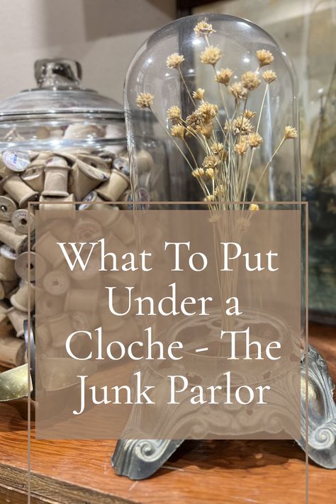 Do you ever wonder what to put under a cloche? If so, then this is the perfect place to find out! With their unique selection of vintage treasures and eclectic finds, you are sure to find inspiration for what to put under your cloche. Ideas For Cloche, Vintage Cloche Decor, Farmhouse Cloche Ideas, Chicken Wire Cloche Decor, Glass Bell Jar Ideas, Tall Cloche Ideas, Spring Cloche Ideas Vignettes, Cloche Styling Glass Domes, Metal Cloche Decor