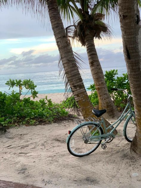 Beach Bike Aesthetic, Seychelles Aesthetic, Beach Episode, Exotic Outfits, Morning Ride, Seychelles Islands, Filler Photos, Morning Sunrise, Dream Holiday