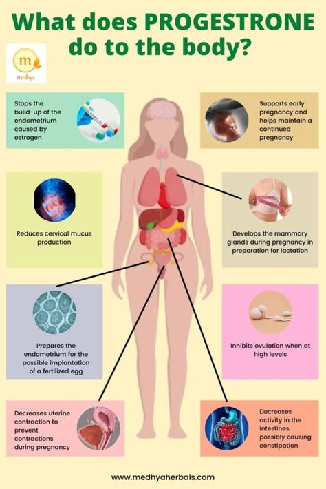 Progesterone Foods, Increase Progesterone Naturally, Low Progesterone Symptoms, Increase Progesterone, Low Progesterone, Ayurvedic Tips, Boost Fertility, Low Estrogen Symptoms, Cervical Mucus