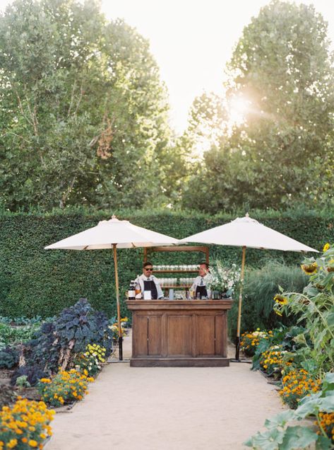 Backyard Tuscan Wedding, Garden Wedding Bar Ideas, Garden Party Wedding Parasol, Outdoor Welcome Party, Wedding Bar Outdoor, Walled Garden Wedding, June Garden Wedding, Backyard Wedding Vibes, Outdoor Wedding Bar Ideas