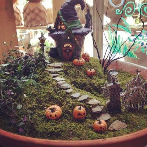 Halloween Fairy Garden Diy Halloween Fairy Garden, Fairy Garden Design Ideas, Halloween Fairy Garden, Halloween Decor Diy, Fairy Garden Ideas, Fairy Garden Kit, Fairy Garden Designs, Halloween Fairy, Autumn Fairy