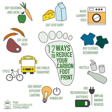 How To Reduce Carbon Footprint, Reduce Carbon Footprint Poster, Carbon Footprint Poster, Footprint Poster, Flood In Pakistan, Reducing Carbon Footprint, Green Marketing, Instagram Projects, Kids Canvas Art