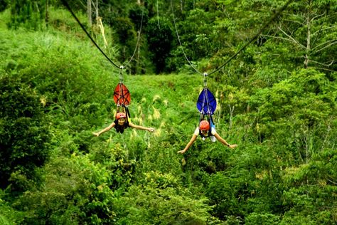 The asia's longest zipzone. Dahilayan Adventure Park, Bukidnon Philippines, Central Visayas, Board Manifestation, Puerto Princesa, Amazing Places On Earth, Cebu City, Bohol, Philippines Travel