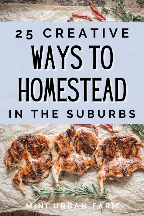 Basic Homestead Skills, Homesteading In The Suburbs, Homesteading Skills To Learn, Basic Homesteading, Homesteading Urban, Micro Homesteading, Micro Homestead, Homestead Meals, Start Homesteading