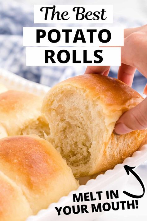 These potato rolls are extra soft, fluffy, and basically the best dinner rolls ever. Perfect for Thanksgiving, the holidays, or any time! Amish Dinner Rolls, Potato Dinner Rolls Recipe, Potato Bread Rolls, Potato Roll Recipe, Harvest Treats, Potato Dinner Rolls, Best Dinner Rolls, Potato Rolls Recipe, No Yeast Dinner Rolls