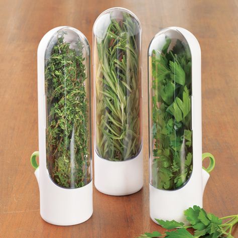 herb keepers! Herb Container, Garden Posts, Survival Gardening, Essential Kitchen Tools, Cooking Gadgets, Cool Kitchen Gadgets, Back Gardens, Kitchen Supplies, Home Gadgets