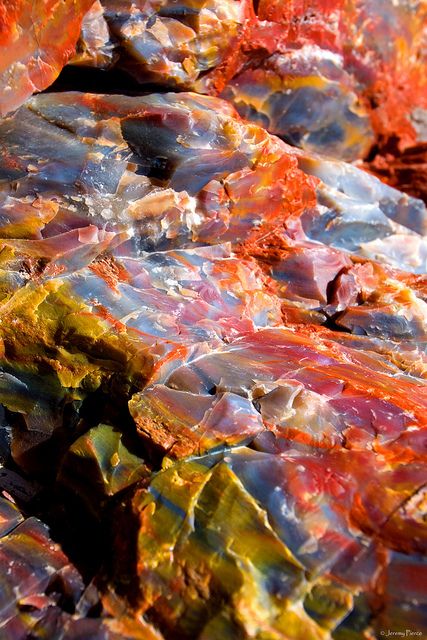 Petrified Wood Detail - Crystal Forest Trail, PFNP, AZ by Jeremy Pierce Facts About China, Crystal Forest, Black Pinterest, About China, Petrified Forest, Forest Trail, Desert Painting, Winter Boho, Pretty Rocks