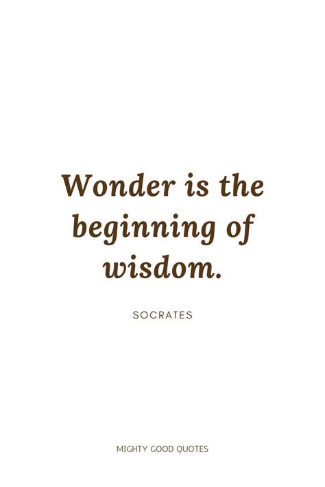 Sociology Quotes Inspiration, Quotes On Curiosity, Curiosity Quotes Inspirational, Quotes About Curiosity, Socrates Quotes Wisdom, Socrates Quotes Philosophy, Intellectual Quotes Philosophy, Chapter Starters, Sage Quotes