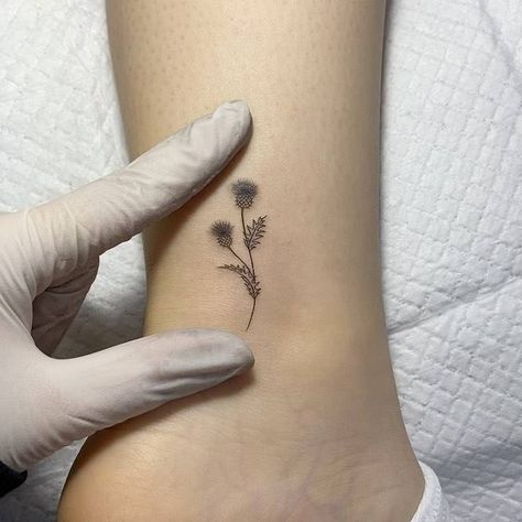 Thistle flower tattoo on the ankle Thistle Ear Tattoo, Scottish Thistle Tattoo Simple, Thistle Tattoo Fine Line, Small Thistle Tattoo, Scotland Tattoo Ideas Small, Thistles Tattoo, Rose And Thistle Tattoo, Fine Line Thistle Tattoo, Scottish Tattoos For Women