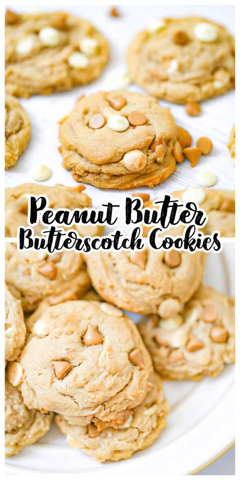 We are totally raving on these awesome soft and thick Peanut Butter Butterscotch Chip Cookies! Chocked full of peanut butter flavor and butterscotch chips galore, these cookies cannot be beat! Such a fun twist on peanut butter cookies! #cookies #peanutbutter #butterscotch #bestpeanutbuttercookies #chocolatechipcookies Peanut Butter Butterscotch Cookies, Butterscotch Chip, Butterscotch Chip Cookies, Butterscotch Recipes, Potluck Food, Oatmeal Butterscotch Cookies, Retro Desserts, Butterscotch Cookies, Chocolate Chip Cookie Bars