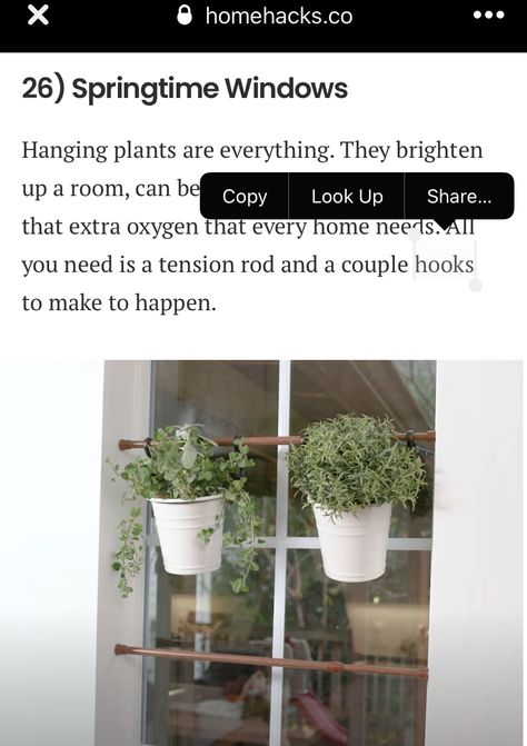 Tension Rod Shelf, Tension Rod Plant Stand, Diy Tension Rod Plant Stand, Plant Tension Rod, Tension Rod Kitchen Storage, Tension Rod, Window Hanging, Hanging Plants, Spring Time