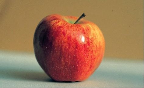 Apple Reference, Vegetables Drawing, Apple Still Life, Dna Artwork, Pear Painting, Apple Photography, Apple Picture, Apples Photography, Conceptual Sketches