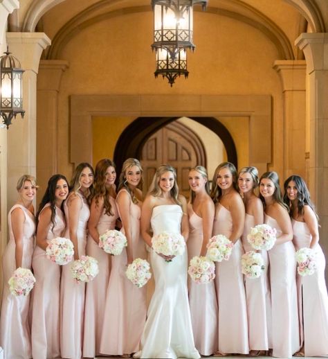 Baby Pink Wedding, Light Pink Bridesmaid Dresses, Blush Pink Bridesmaids, Big Wedding Dresses, Light Pink Wedding, Blush Bridesmaids, Pink Bridesmaid Dress, Pink Bridesmaid Dresses, Future Wedding Plans