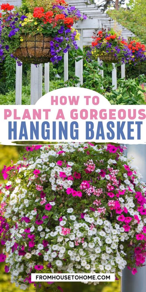 Looking for ideas on how to plant a hanging basket? We've got you covered! Use this simple step by step guide on planting your own hanging baskets that will look gorgeous for the whole growing season. Hanging Baskets Diy, Hanging Basket Garden, Full Sun Flowers, Hanging Plants Outdoor, Trailing Flowers, Full Sun Plants, Hanging Flower Baskets, Flower Baskets, Plants For Hanging Baskets