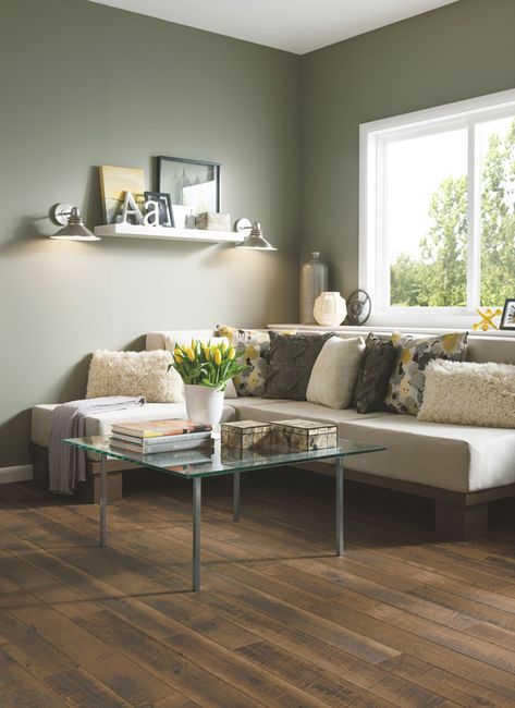 Brown Laminate Flooring, Brown Laminate, Best Laminate, Armstrong Flooring, Laminate Floors, Living Interior, Flooring Store, Radiant Orchid, Green Walls