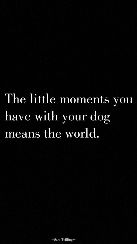 The little moments you have with your dog means the world Girl And Her Dog Quotes, A Girl And Her Dog Quotes, A Girl And Her Dog, Dog Mom Quotes, Girl And Her Dog, Dog Quotes Love, E Mc2, Dog Rules, Quotes Love