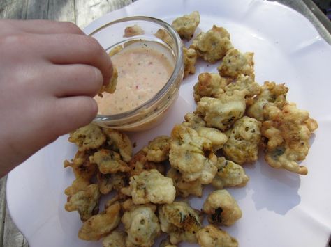 Deep fried dandelions Dandelions Recipe, Deep Fried Zucchini, Fried Zucchini Flowers, Fried Dandelions, Under A Bridge, Garden Plot, Fried Zucchini, Zucchini Flowers, Recipe Tutorial