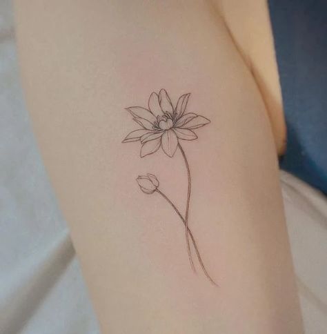 110 Water Lily Tattoo Designs That Will Bring You Peace Water Lily With Stem Tattoo, Pink Water Lily Tattoo, Black And White Water Lily Tattoo, Lily Pad Flower Tattoo, Simple Water Lily Tattoo, Waterlily Tattoo Design, July Birth Flower Tattoo Water Lilies, Small Water Lily Tattoo, Tiger Lily Tattoo Small