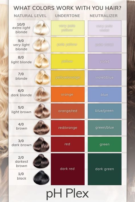 What Colors Work With Your HairGet Rid Of Unwanted Tones Using The Color Charts Shades Of Hair Color Chart, Levels Of Hair Color Chart, Color Theory Hair Colour Wheel, Level Hair Color Chart, Hair Toning Chart, Hair Color Dye Chart, Hair Levels And Tones, So Color Matrix Chart, Hair Color Spectrum Chart