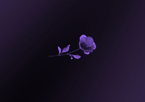 Dark Purple Wallpaper Laptop, Purple Background Pc, Flower Purple Background, Dark Purple Background, Wallpaper Video, Dark Purple Wallpaper, Iphone Wallpaper Video, Wallpaper Purple, Purple Dark