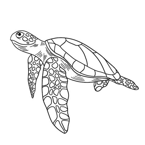 Watercolor Tatoos, Turtle Outline, Sea Turtle Drawing, Turtle Coloring, Sea Turtle Pictures, Sea Turtle Tattoo, Turtle Quilt, Animal Outline, Turtle Coloring Pages