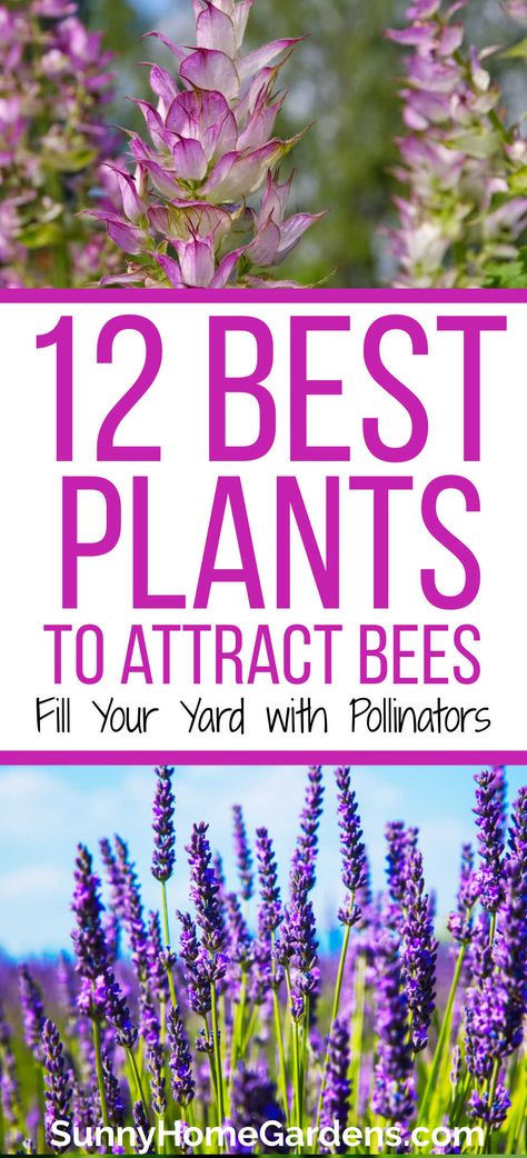 flowers on top and bottom, middle says "12 best plants to attract bees: fill your yard with pollinators". Bee Flowers Garden, Best Flowers For Bees And Butterflies, Best Flowers To Plant For Honey Bees, Plant These Save The Bees, Bees Favorite Flowers, Garden For Bees And Butterflies, Best Pollinator Plants, Shade Pollinator Plants, Bee Pollinator Garden