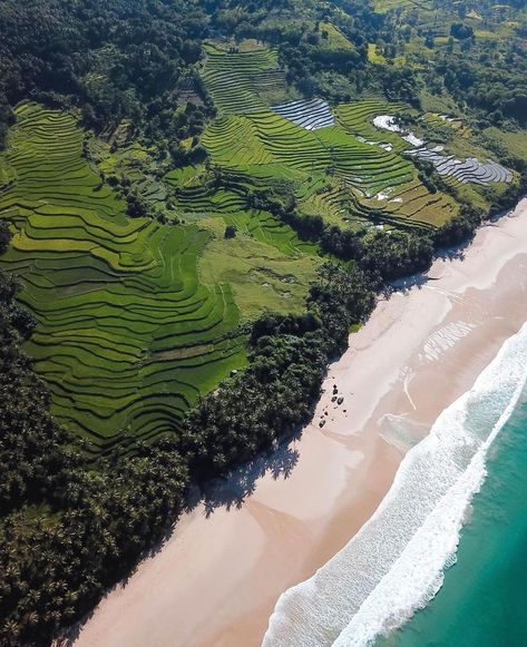 Nihi Sumba Island, Sumba Indonesia, Sumba Island, Kelly Behun, Rice Terraces, Beautiful World, Terrace, Bali, Paradise