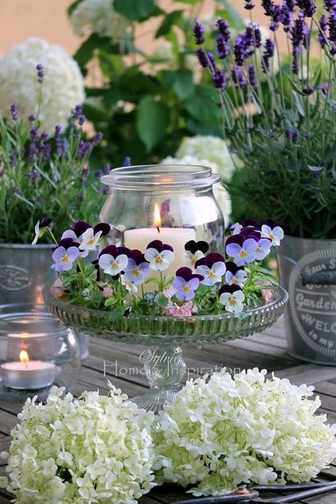 Violets & a Candle on a Crystal Cake Plate for an Easy, Pretty Centerpiece home flowers garden candle decorate centerpiece violet Flowers And Candles, Deco Champetre, Spring Flower Arrangements, Terrarium Decor, Wallpaper Tumblr, Beautiful Flower Arrangements, Flower Arranging, Deco Floral, Home Inspiration