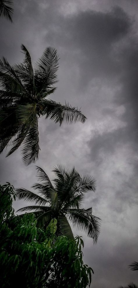 Monsoon Sky Aesthetic, Rain Sky Pictures, Rain Nature Photography, Monsoon Aesthetic Wallpaper, Aesthetic Rain Pics, Cloudy Sky Snap, Rain Sky Aesthetic, Rain Photography Aesthetic, Rainy Sky Aesthetic