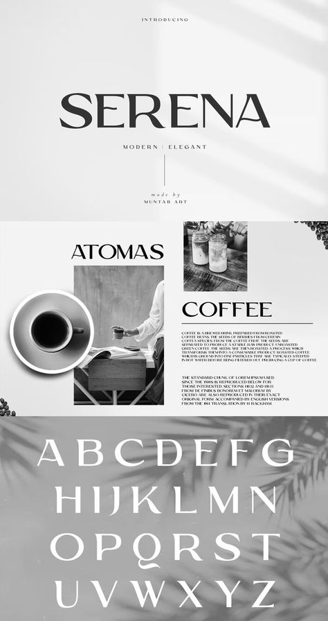 Serena Modern Sans Serif Font Luxury San Serif Font, Logo Serif Font, Modern Typography Logo, Clean Modern Fonts, Fancy Cursive Fonts, Bride Cartoon, Sans Serif Logo, Fonts Ideas, Modern Fonts Free