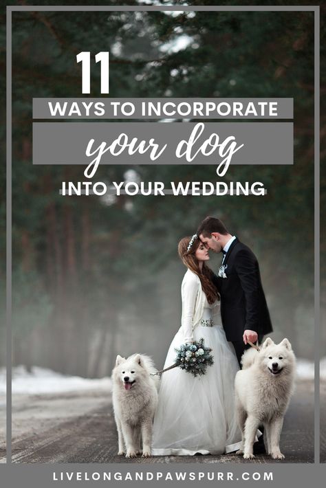 Celebrating the bond between yourself and your dog is just one of the reasons to include them in your wedding day! Here we list 11 ways to incorporate them on your special day and make them a part of the ceremony and your new family. Dogs in Weddings, Wedding Dogs, Wedding Inspiration, Pets in Weddings, Ideas for Brides #dogsinweddings #weddinginspo #petsarefamily #petlovers #isaidyes Dogs In Weddings, Blue Groom, Pet Blog, Wedding Venue Inspiration, Wedding Pets, Dog Wedding, Family Dogs, Wedding Planning Tips, Dog Care