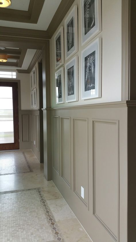 Diningroom Wainscotting, Painting Wainscoting Ideas Living Room, Wainscotting Ideas Dining Room, Taupe Wainscoting, Waynes Coating Dining Room, Dining Room With Wainscotting, Wainscoting Foyer, Wainscoting Dining Room, Waynes Coating