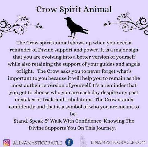 Crow Spirit Animal Meaning, Spirit Animal Crow, Crow Animal Spirit, Crow Omen Meaning, Crow Cawing Meaning, 1 Crow Meaning, Crows Meaning Witchcraft, Crow Sightings Meaning, Two Crows Meaning