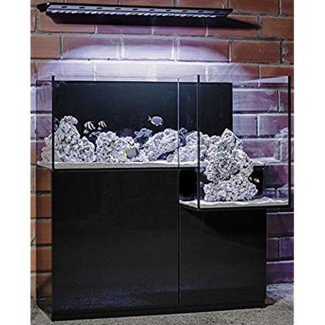 Reef Tank Design, Long Aquarium, Reef Tank Aquascaping, Saltwater Aquarium Setup, Aqua Tank, Aquarium Set, Saltwater Aquarium Fish, Amazing Aquariums, Fish Bowls