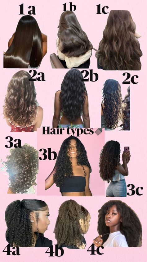 What Type Of Hair Do I Have, What Hair Type Do I Have, Curly Hair Types Charts, 1c Hair Type, Hairstyle Chart, 1b Hair Type, Hair Types Chart, 1c Hair, Types Of Hairs