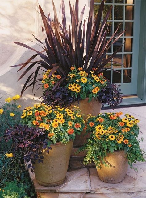 Autumn Planters, Fall Flower Pots, Fall Pots, Potted Plants Patio, Fall Container Gardens, Fall Containers, Potted Plants Outdoor, Container Gardening Flowers, Fall Planters