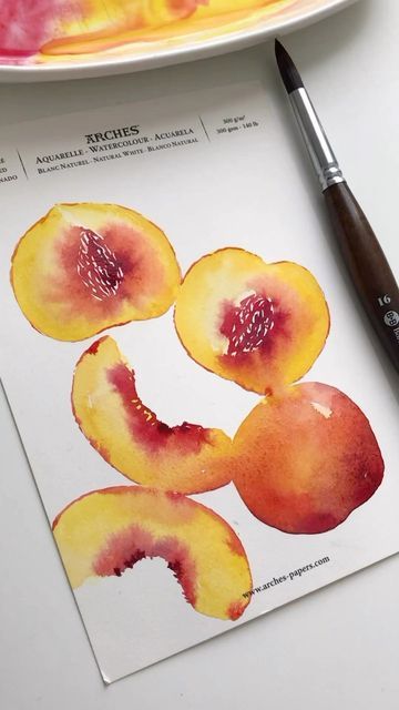 Peaches Watercolor Paintings, Fruit Illustration Watercolour, Water Colour Fruit Painting, Watercolor Peach Tutorial, Peach Watercolor Painting, Line Drawing Watercolor, Watercolour Inspiration Aesthetic, Water Coloring Painting Ideas Aesthetic, Food Art Painting Watercolour