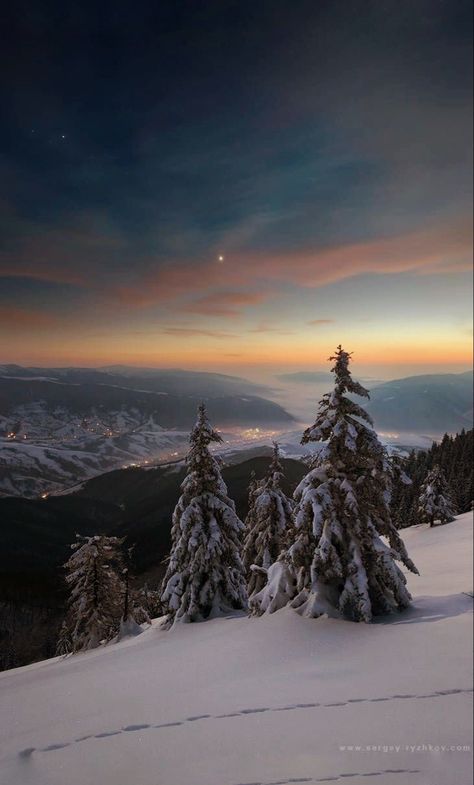 Edit Winter Pines, Winter Sunsets, Snow Days, Winter Mountain, Winter Wallpaper, Winter Magic, Winter Scenery, Winter Beauty, Snow Scenes