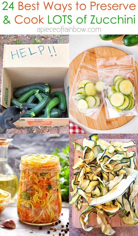 24 Ways to Preserve Zucchini & Best Recipes  - A Piece Of Rainbow Zucchini Easy Recipes, Preserve Zucchini, Preserving Zucchini, Canning Zucchini, Zucchini In The Oven, Bread Chips, Poly Tunnel, Cabbage Varieties, Freezing Zucchini