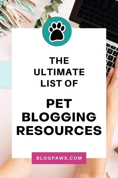 person typing on a laptop | the ultimate list of pet blogging resources Pet Influencer, Blog Business Plan, Find Your Niche, Writing A Blog, Pet Projects, Business Setup, Dog Business, Blog Business, Blog Planning