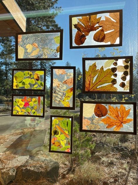 Fall Preschool Activities, Eyfs Activities, Carving Pumpkins, Fall Arts And Crafts, Tree Study, Fall Preschool, Fall Crafts For Kids, Autumn Crafts, Home Diy Decor