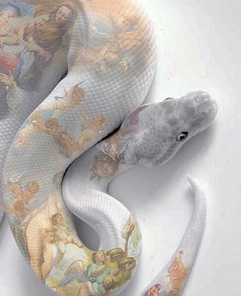 Pretty Snakes, Snake Wallpaper, Muster Tattoos, Snake Lovers, Cute Reptiles, Cute Snake, Snake Art, Beautiful Snakes, Pet Snake