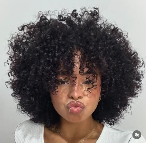 Heart Shape Curly Hair, Curly Hair With Bangs Aesthetic, Crotchet Curly Hairstyles Black Women, Curly Short Fro, Curly Cut Inspo Pics, Big Short Curly Hair, Curly Cut Type 4 Hair, Coily Bangs, Curly Hair Outfits Black Women