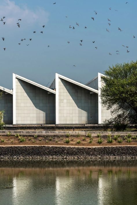 Sawtooth Roof, Coffee Factory, Circular Buildings, Industrial Sheds, Factory Architecture, India Architecture, Modern Factory, Roof Architecture, Industrial Architecture