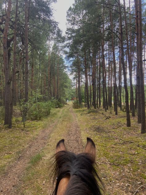 Vision Board Horse Riding, Horseback Riding English, Horse Vision Board, Horse Trail Ride Aesthetic, Bareback Horse Riding Aesthetic, Trail Ride Aesthetic, Trail Riding Aesthetic, Bareback Horse Riding, Horse Trail Ride