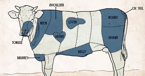 Thrillist Butcher Diagram, Cow Meat, Meat Cuts, Grilled Meat, How To Cook, Art Works, Travel Inspiration, Cow, Humanoid Sketch