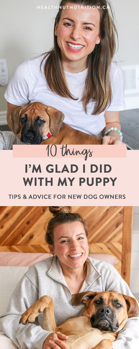 10 important things to do with a new puppy! Welcoming a puppy into your home is a lot of work, but will change your life for the best. If you’re getting a new puppy or looking to get your puppy on the right track, here are the top 10 things that I’m so glad we did in the beginning stages of pawrenthood! Bringing A Puppy Home, Puppy Growth Pictures, Things To Know Before Getting A Puppy, New Puppy Set Up Home, First Week With Puppy, Introducing Puppy To Dog, Puppy Setup Ideas, Activities For Puppies, What Do I Need For A New Puppy