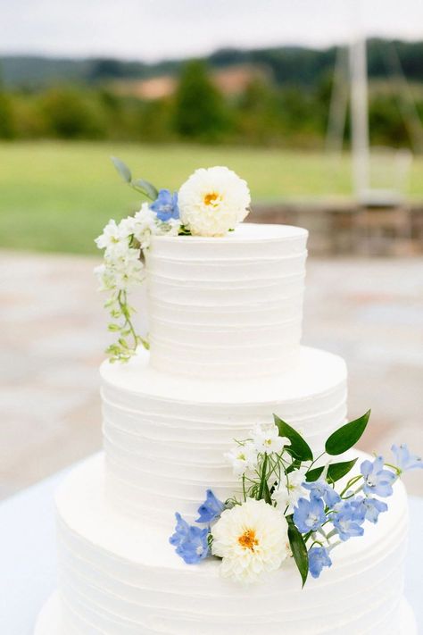 Blue Wedding Cake Ideas Simple, Blue And White Floral Wedding Cake, Simple Wedding Cake Blue Flowers, Pale Blue And White Wedding Cake, Delphinium Wedding Cake, 2 Tier Wedding Cakes Simple Elegant Blue, Simple Wedding Cake Flowers, Pastel Flower Wedding Cake, 3 Teir Wedding Cakes